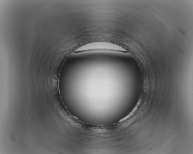 X0000111180284200907081241