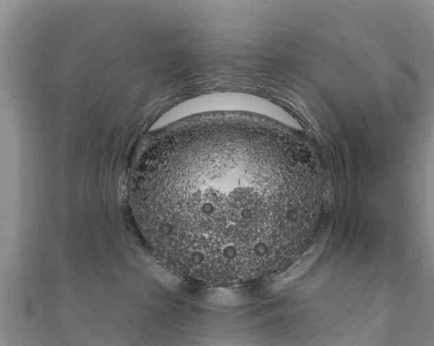 X0000111180285200907081241