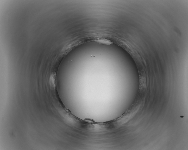 X0000111180286200907081241