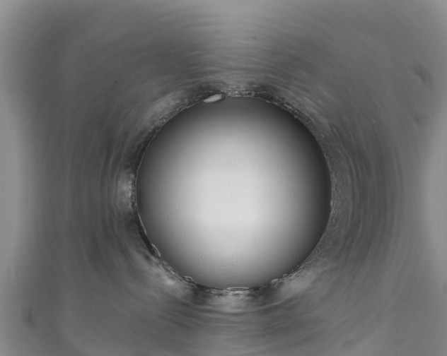 X0000111180288200907081241