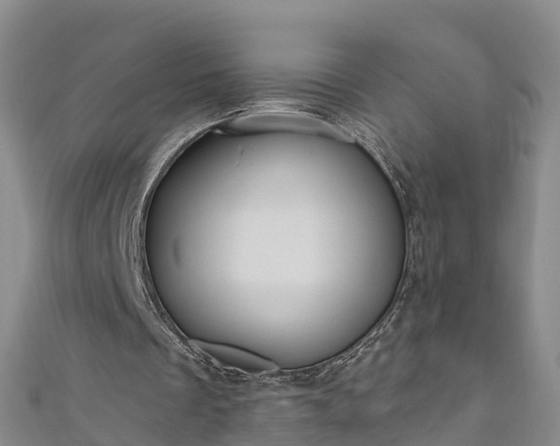 X0000111180289200907081241