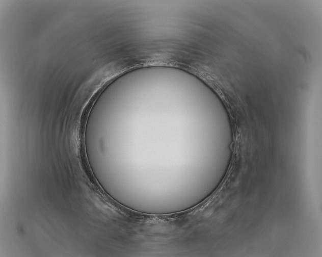 X0000111180290200907081241