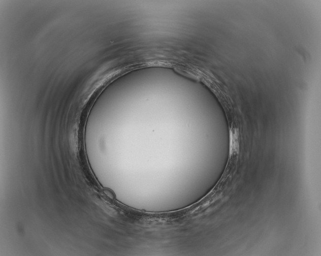 X0000111180291200907081241