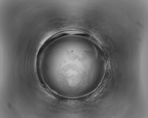 X0000111180292200907081241