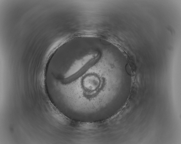 X0000111180293200907081241