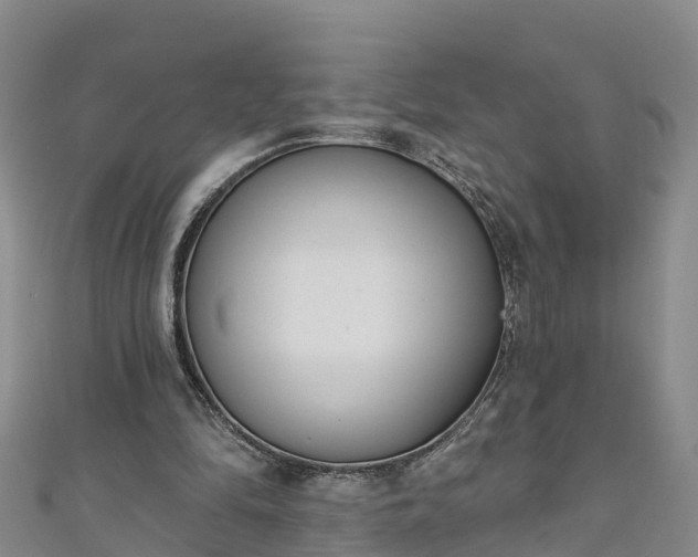 X0000111180294200907081241