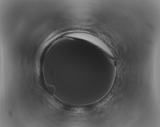 X0000111180295200907081241