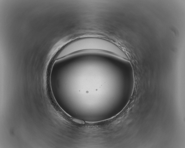 X0000111180296200907081241