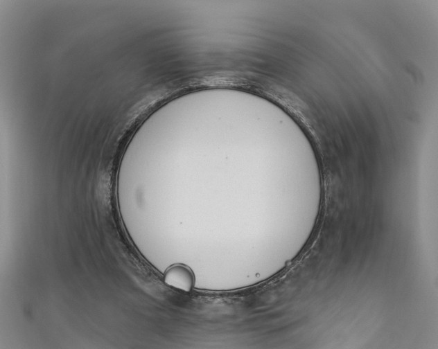 X0000111180297200907081241