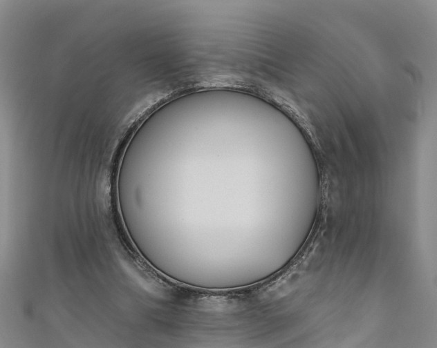 X0000111180298200907081241