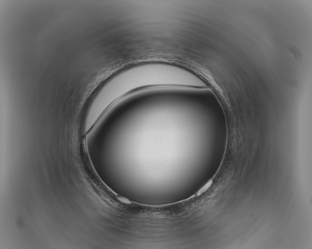 X0000111180299200907081241