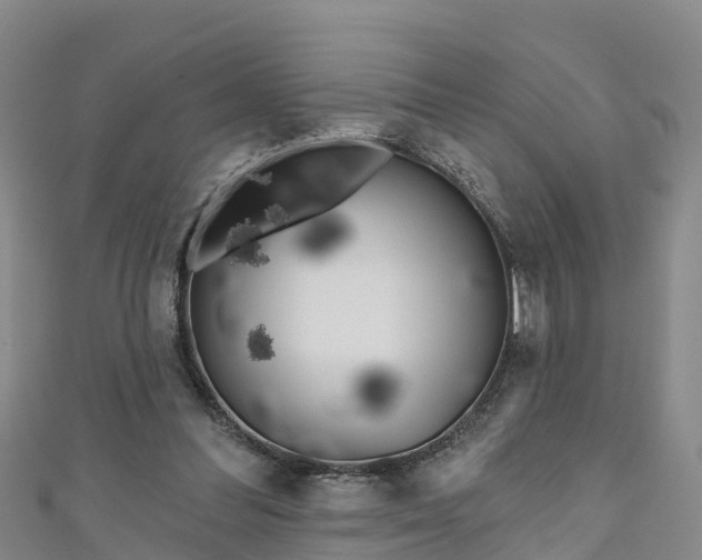 X0000111180300200907081241