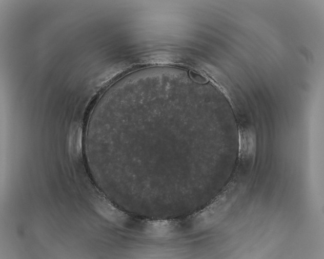 X0000111180301200907081241