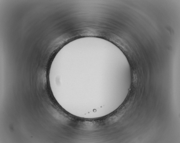 X0000111180302200907081241