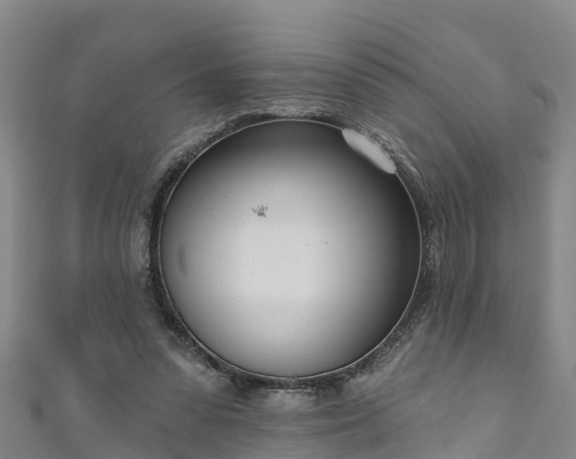 X0000111180303200907081241