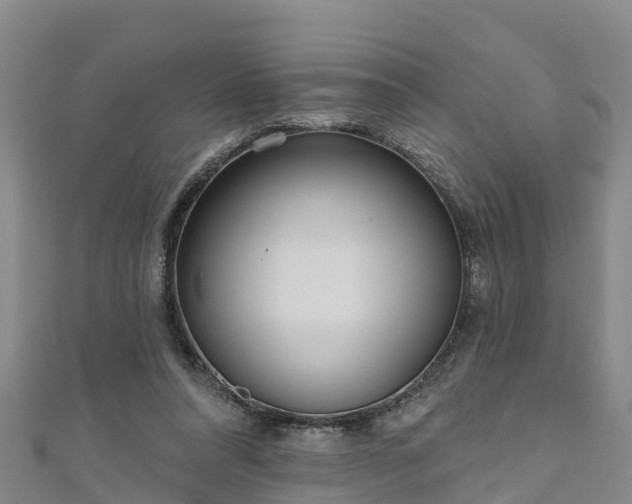 X0000111180304200907081241