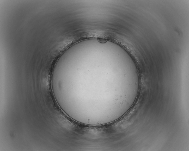 X0000111180305200907081241