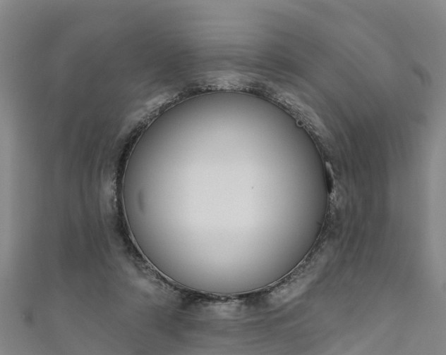 X0000111180306200907081241