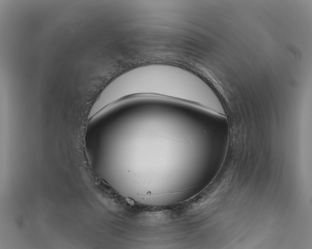 X0000111180307200907081241