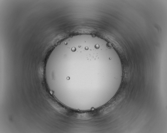 X0000111180309200907081241