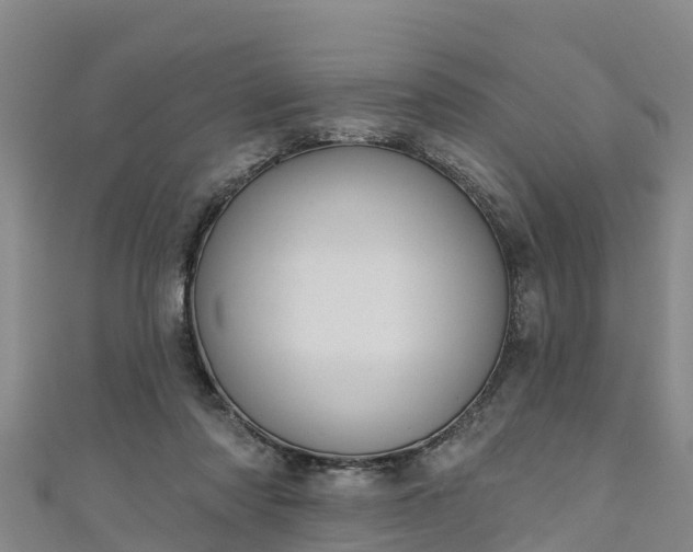 X0000111180310200907081241