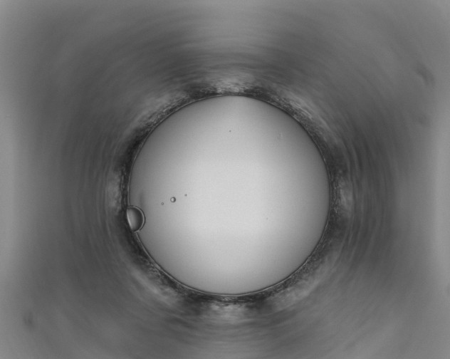 X0000111180311200907081241