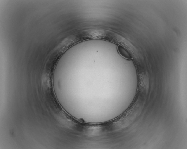 X0000111180313200907081240