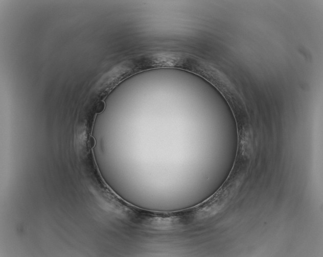 X0000111180314200907081240