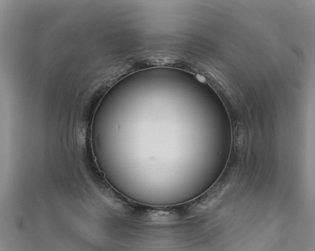 X0000111180315200907081240