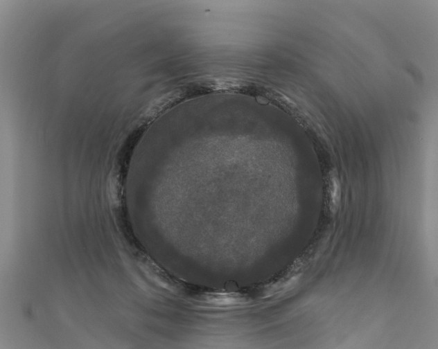 X0000111180316200907081240