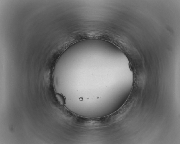 X0000111180319200907081240