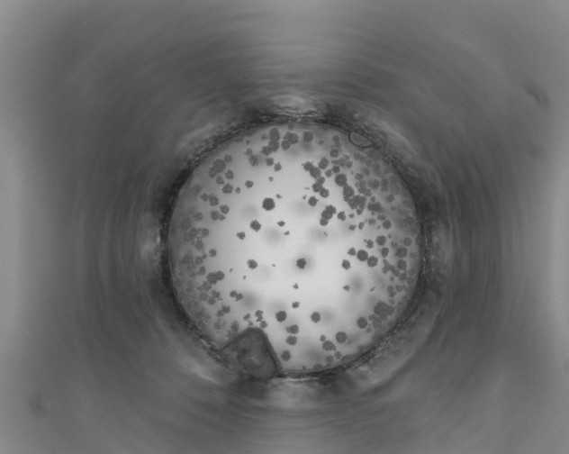 X0000111180320200907081240