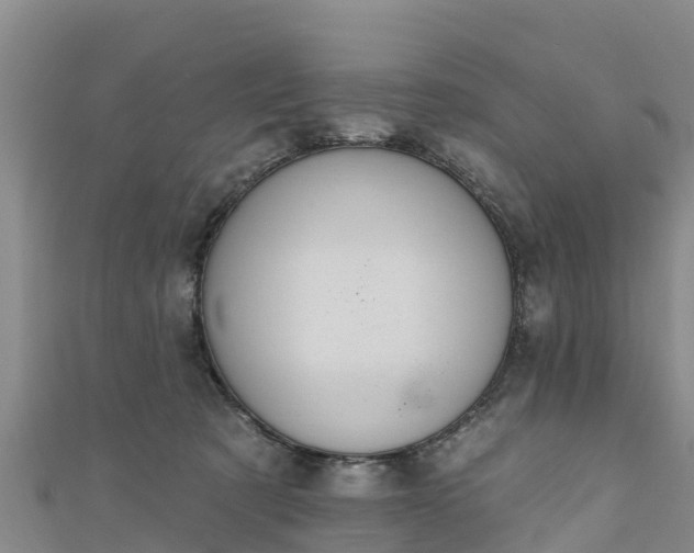 X0000111180321200907081240