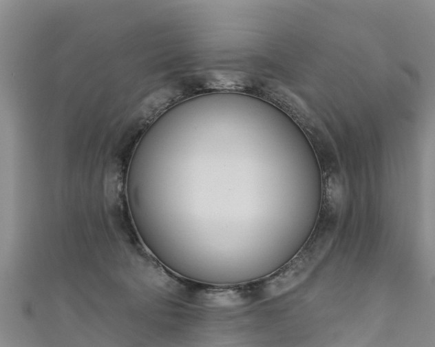 X0000111180322200907081240