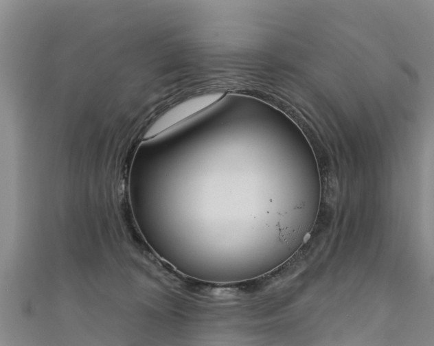 X0000111180324200907081240