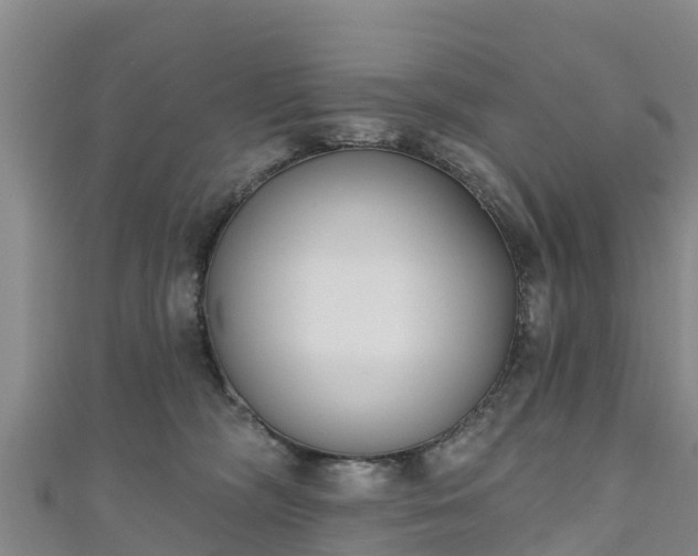 X0000111180326200907081240