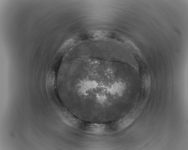 X0000111180328200907081240