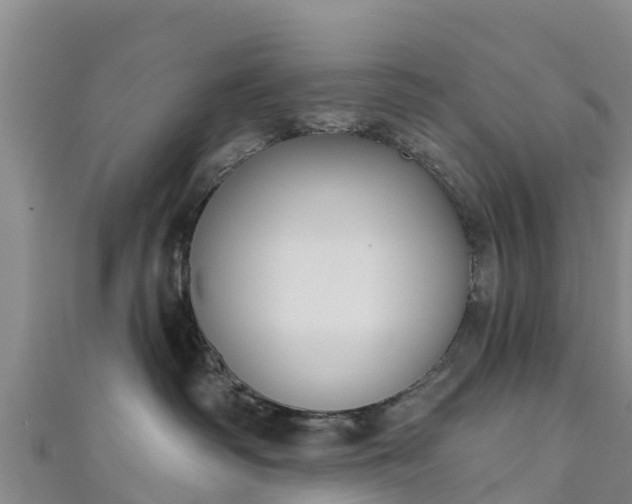 X0000111180334200907081240