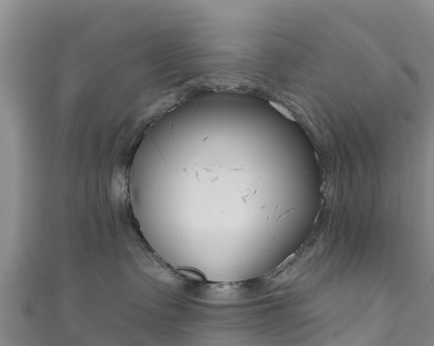 X0000111180335200907081240