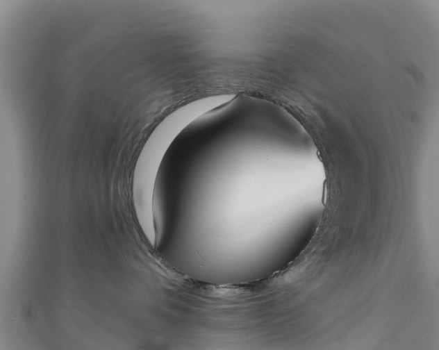 X0000111180336200907081240