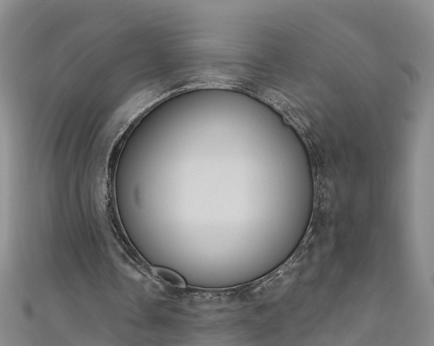 X0000111180338200907081240