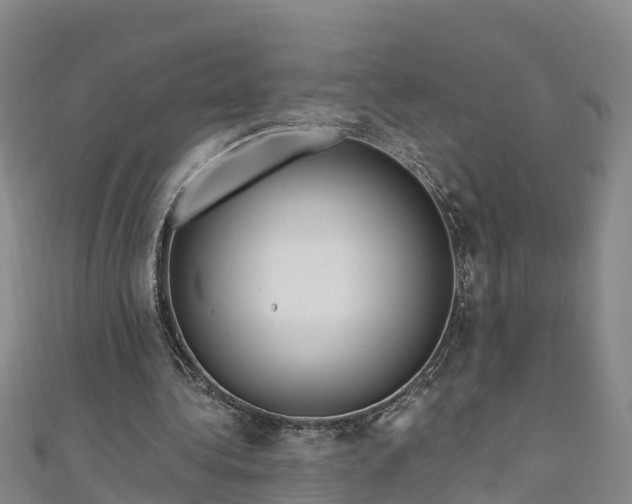 X0000111180340200907081240