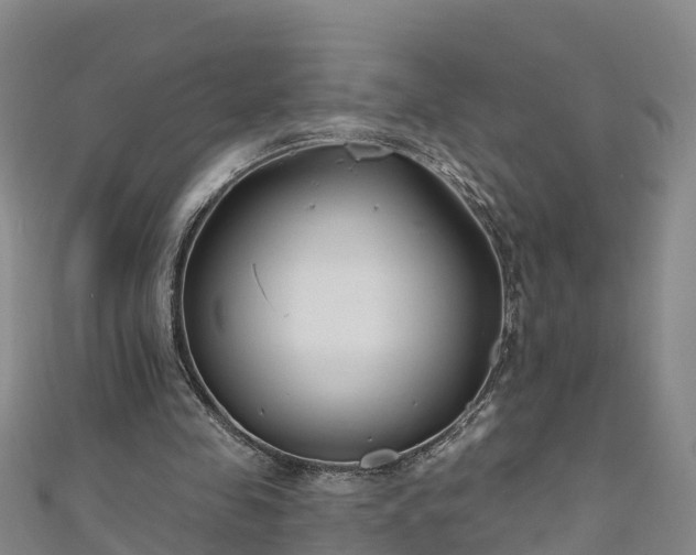 X0000111180341200907081240