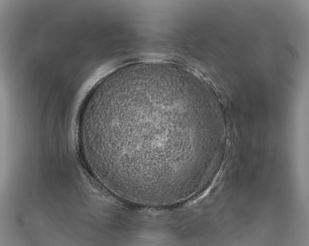 X0000111180343200907081240