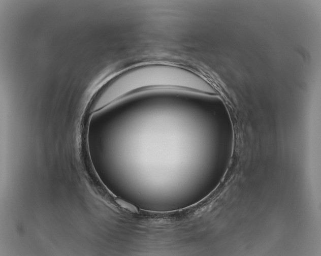 X0000111180344200907081240