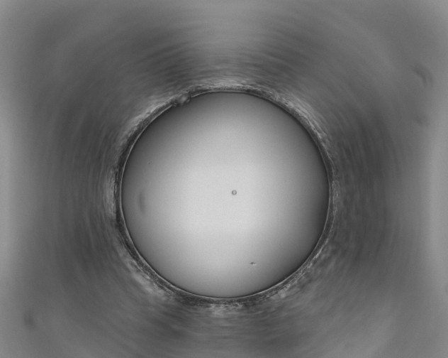 X0000111180345200907081240