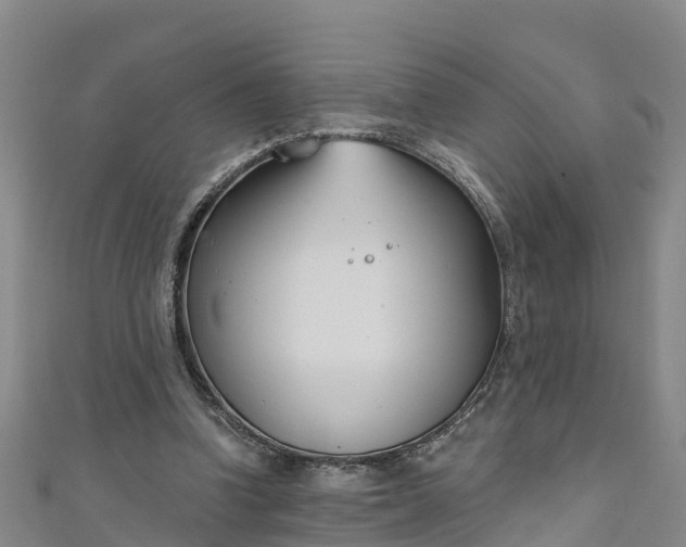 X0000111180346200907081240