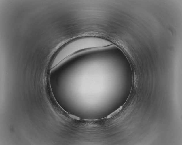 X0000111180348200907081240