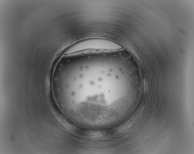 X0000111180349200907081240