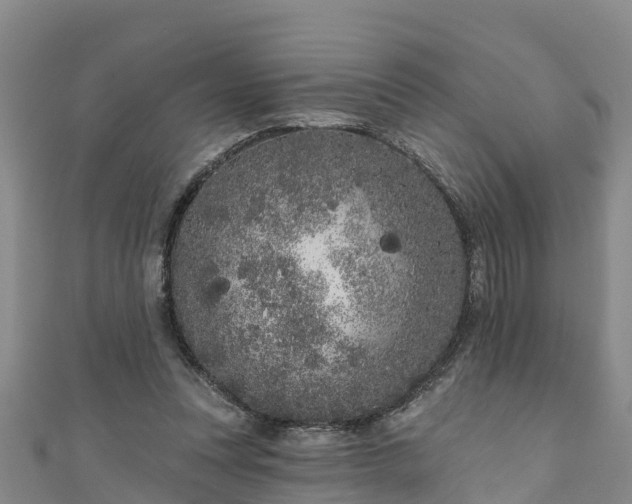 X0000111180351200907081240